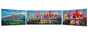 mount-kilo-mv-ps2-scaled