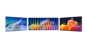 mount-vinson-mv-ps-ws