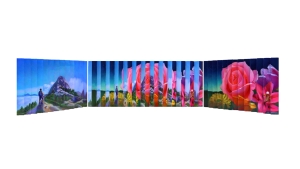 mountian-bloom-multiview-painting-finished-photo-scaled