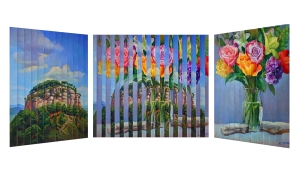 pilot mountain mv new new ps lg